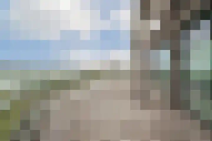Grasweg 496 Amsterdam thumbnail 12