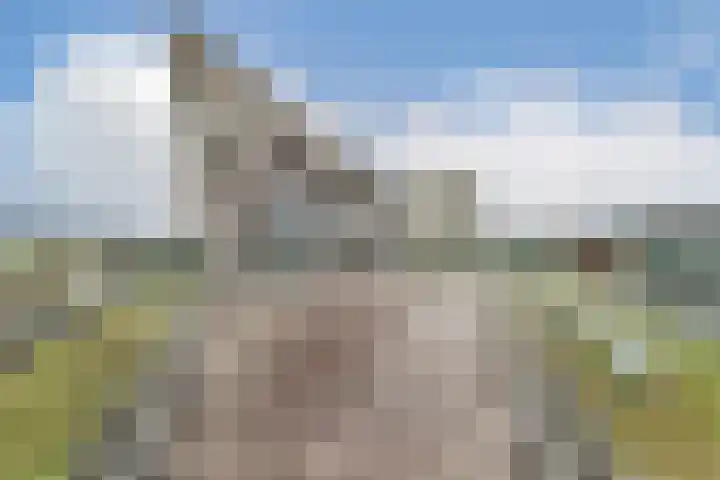 Grasweg 496 Amsterdam thumbnail 14