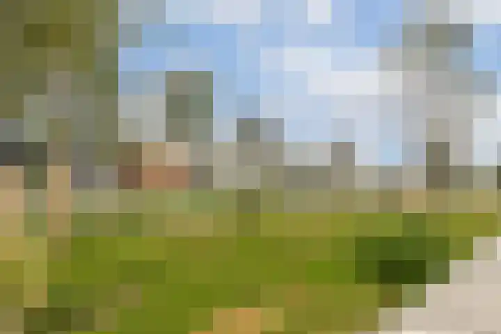 Grasweg 496 Amsterdam thumbnail 25
