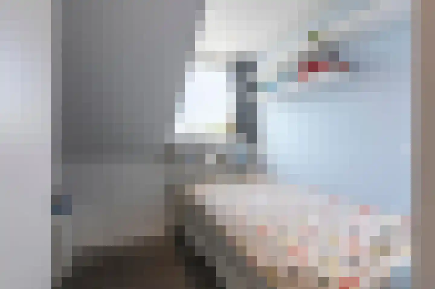Grasweide 22 Kerkrade thumbnail 25