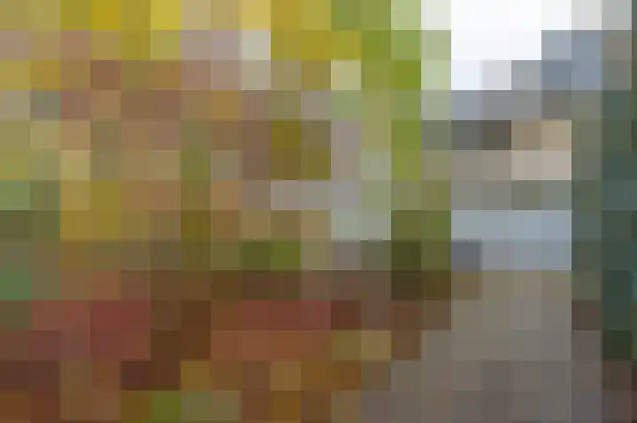 Grasweide 26 Kerkrade thumbnail 32
