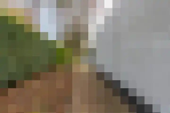 Grasweide 26 Kerkrade thumbnail 33