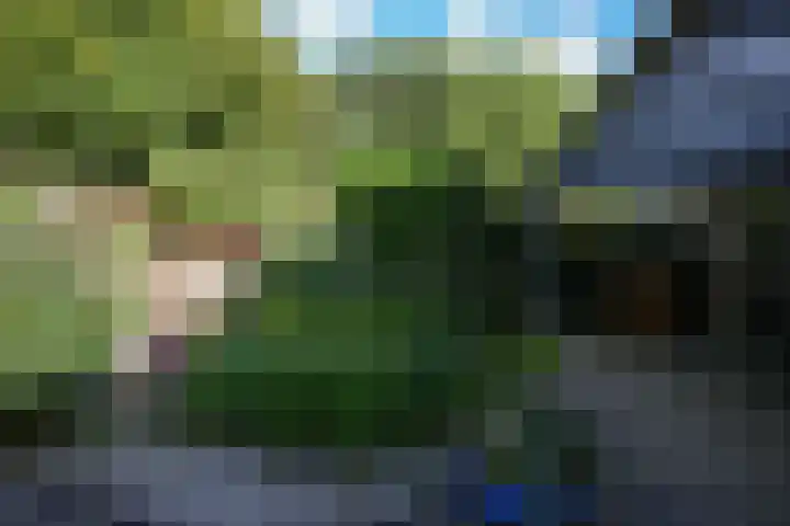 Grasweide 30 Kerkrade thumbnail 34