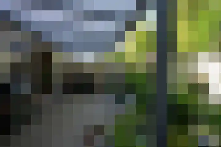 Grasweide 30 Kerkrade thumbnail 35