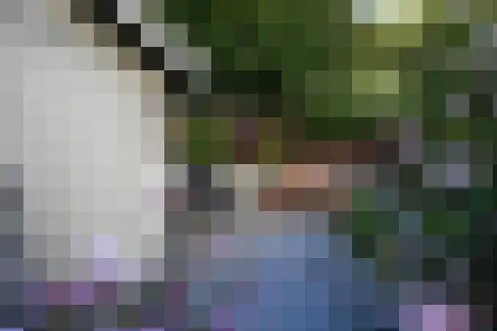 Grasweide 30 Kerkrade thumbnail 36