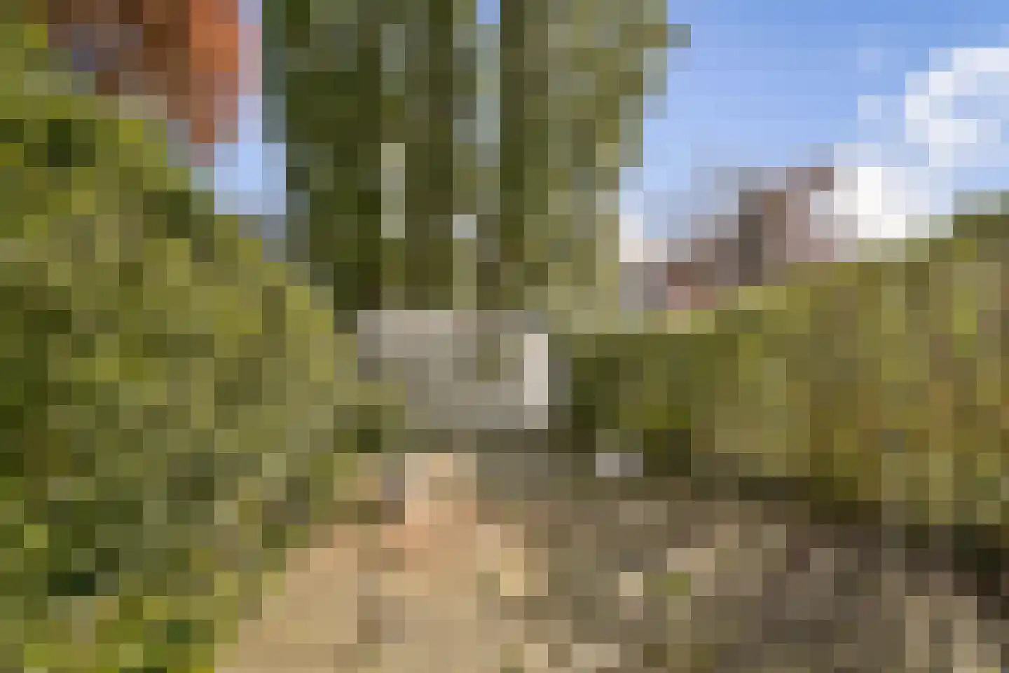 Graswinckelstraat 17 Rotterdam thumbnail 10