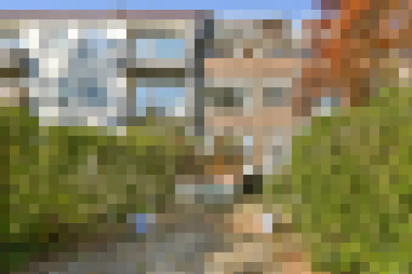 Graswinckelstraat 17 Rotterdam thumbnail 11