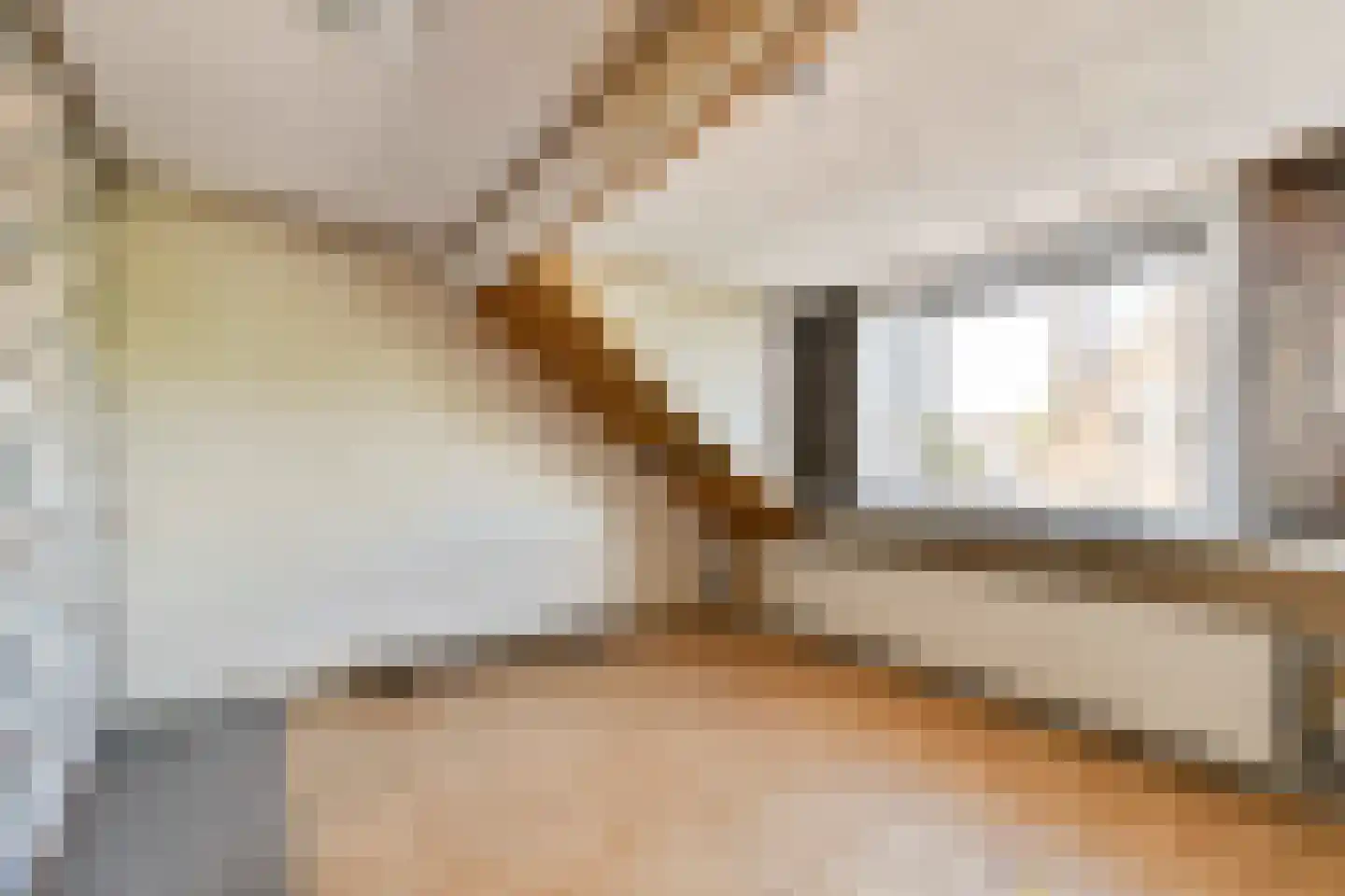 Graswinckelstraat 17 Rotterdam thumbnail 20