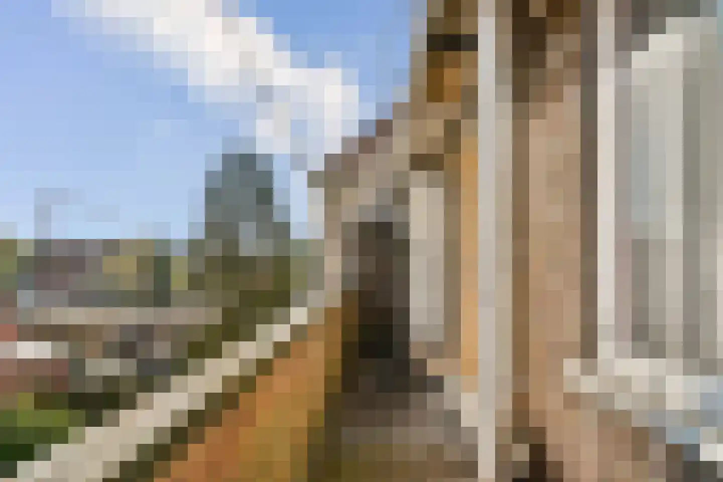 Graswinckelstraat 17 Rotterdam thumbnail 23