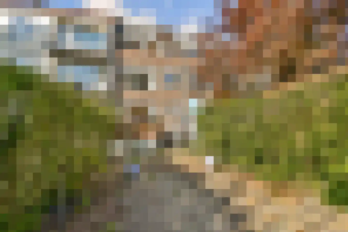 Graswinckelstraat 17 Rotterdam thumbnail 4
