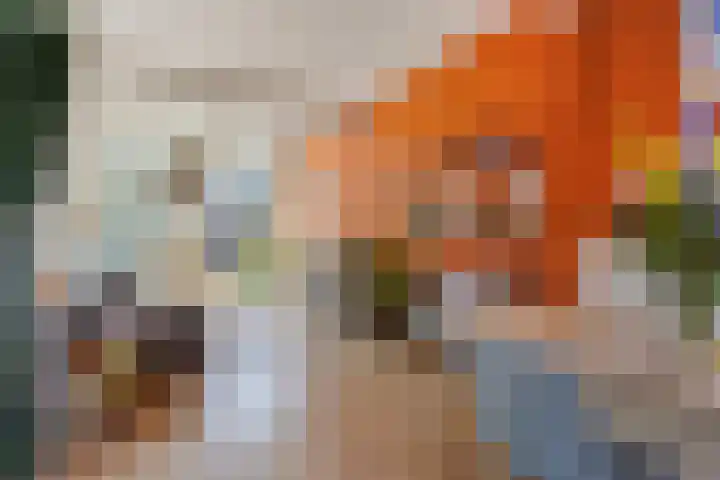 Graswinckelstraat 38 Delft foto 2