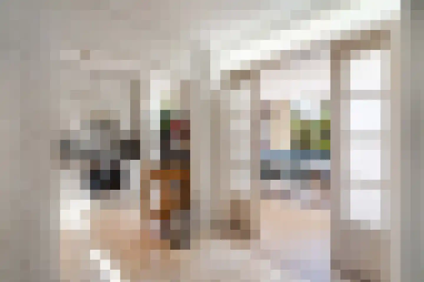 Graswinkellaan 126 Weert thumbnail 15