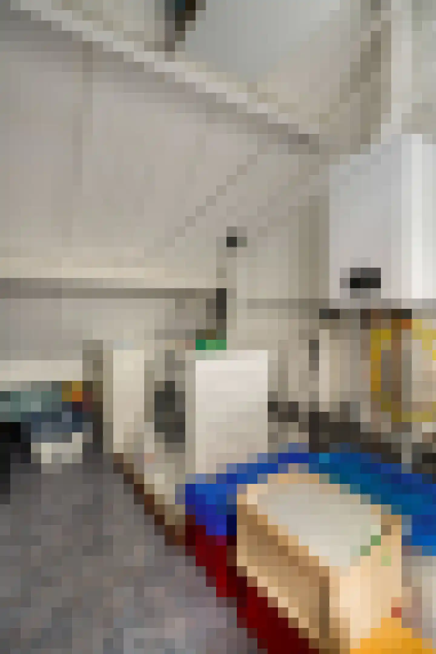 Graswinkellaan 126 Weert thumbnail 31