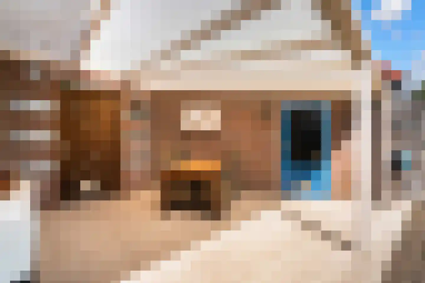 Graswinkellaan 126 Weert thumbnail 33