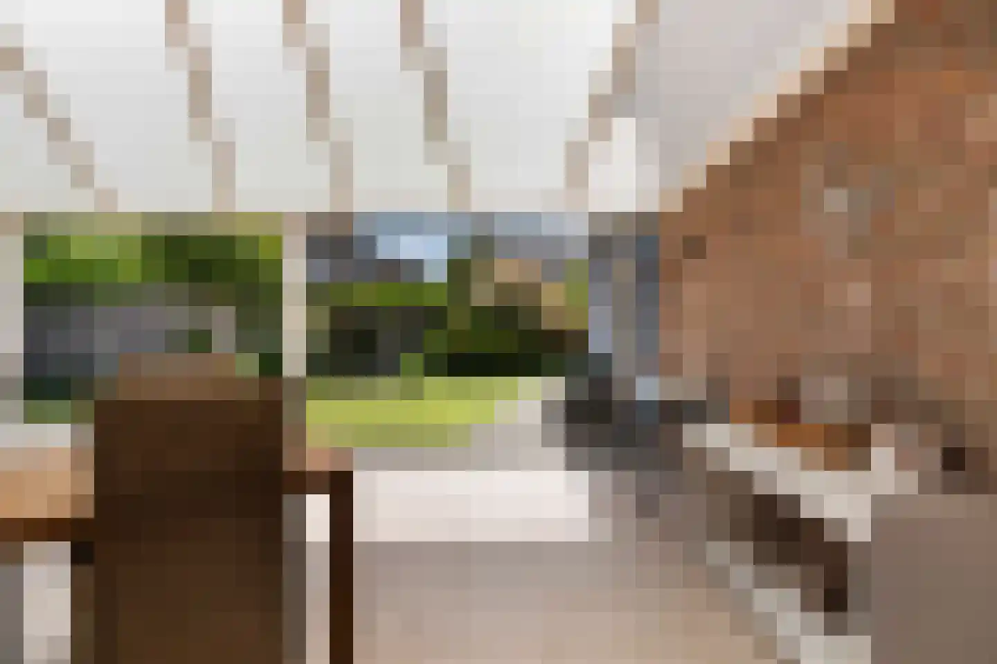 Graswinkellaan 126 Weert thumbnail 34