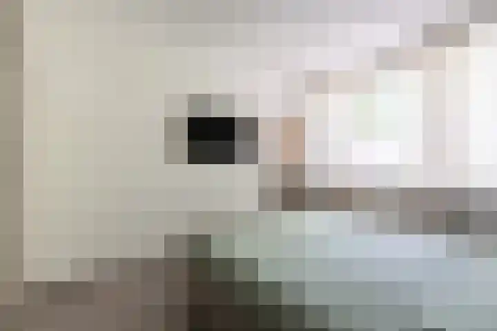Graswinkellaan 179 Weert thumbnail 23