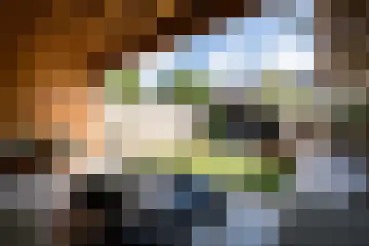 Graswinkellaan 179 Weert thumbnail 43