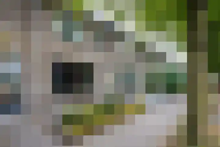 Graswinkellaan 179 Weert thumbnail 45