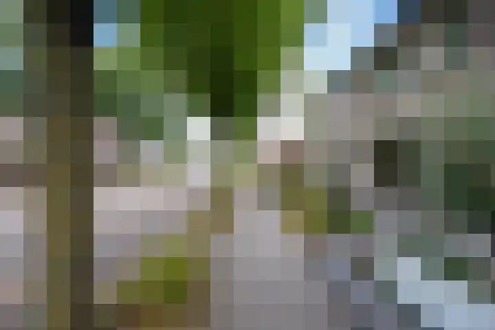 Graswinkellaan 179 Weert thumbnail 46