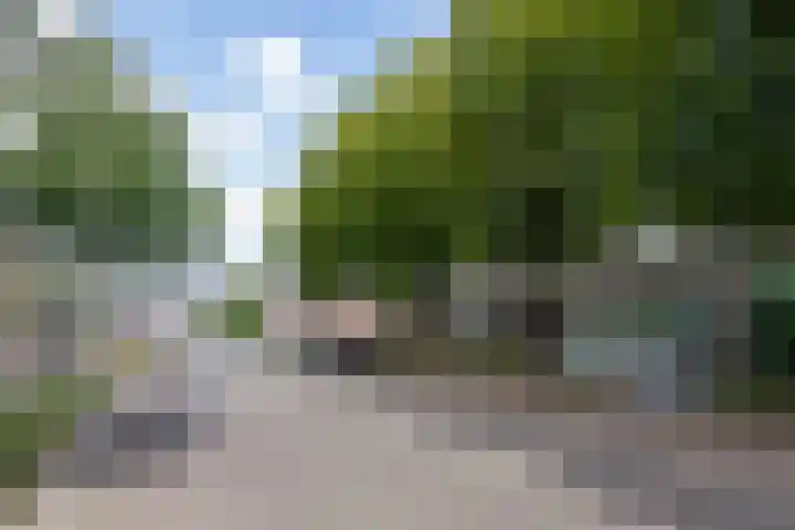 Graswinkellaan 179 Weert thumbnail 48
