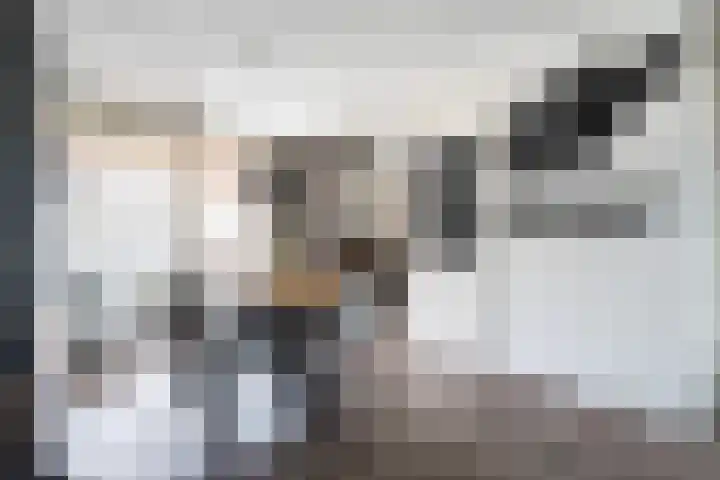 Graswinkellaan 179 Weert thumbnail 9