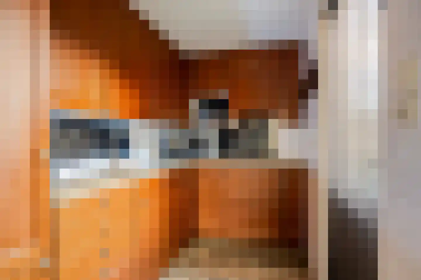 Graswinkellaan 76 Weert thumbnail 17