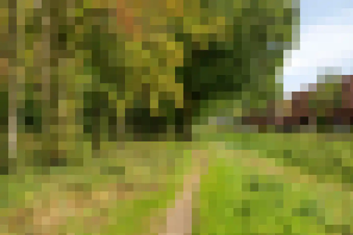 Graszode 34 Eindhoven thumbnail 36