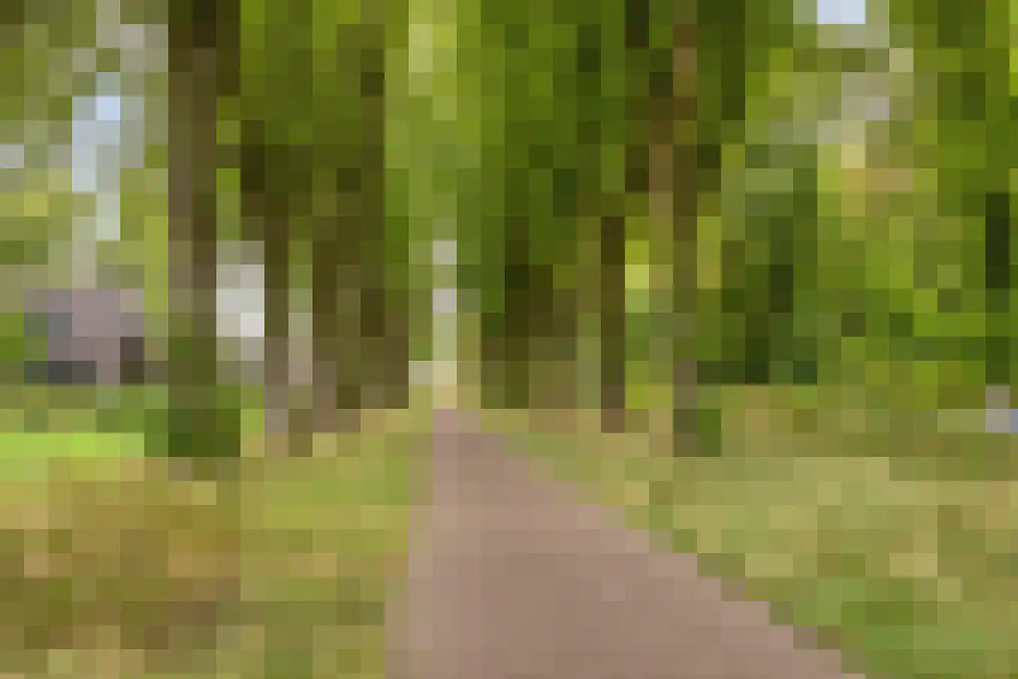 Graszode 34 Eindhoven thumbnail 38