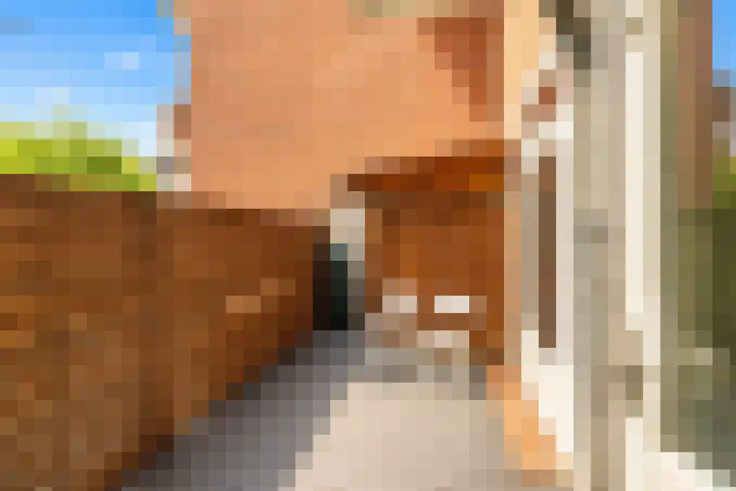 Gratamastraat 1 Groningen thumbnail 24
