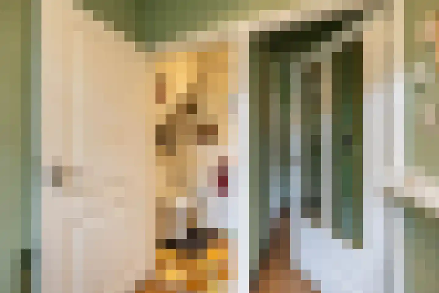 Gratamastraat 1 Groningen thumbnail 9