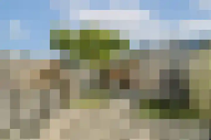 Gratamastraat 18 Rotterdam thumbnail 12