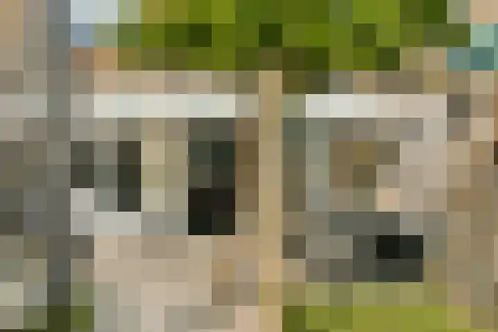 Gratamastraat 18 Rotterdam thumbnail 13