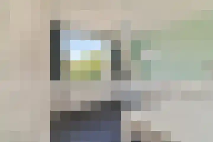 Gratamastraat 18 Rotterdam thumbnail 20