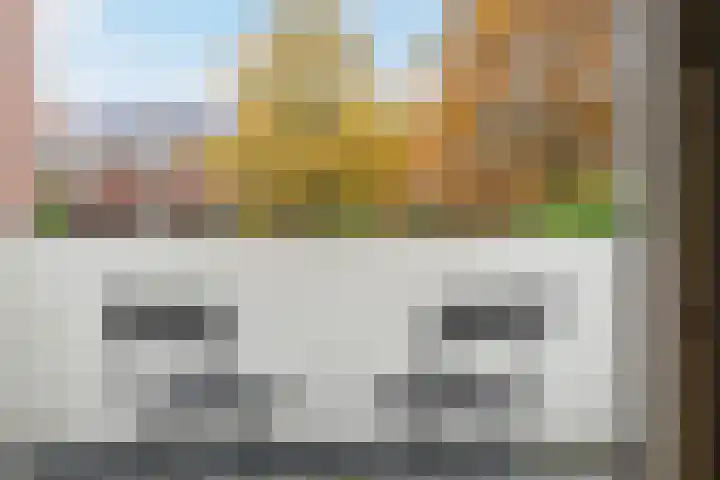 Gratamastraat 21 b Groningen thumbnail 25