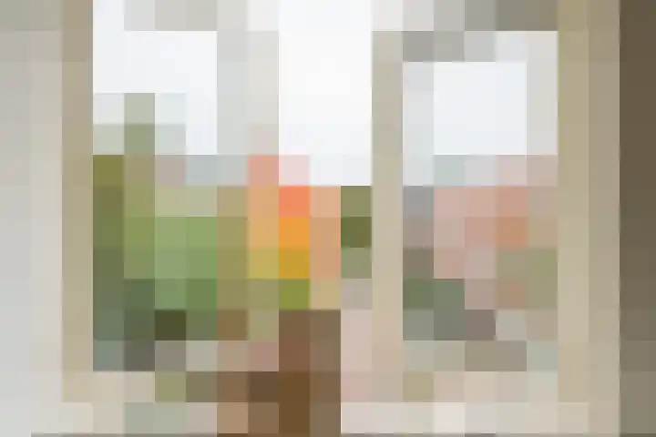 Gratamastraat 21 b Groningen thumbnail 32