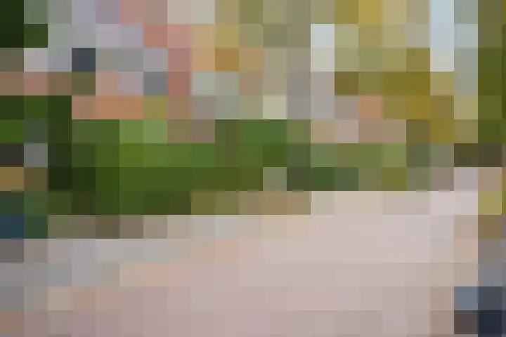 Gratamastraat 21 b Groningen thumbnail 8