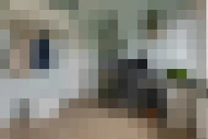 Gratamastraat 3 b Groningen thumbnail 28