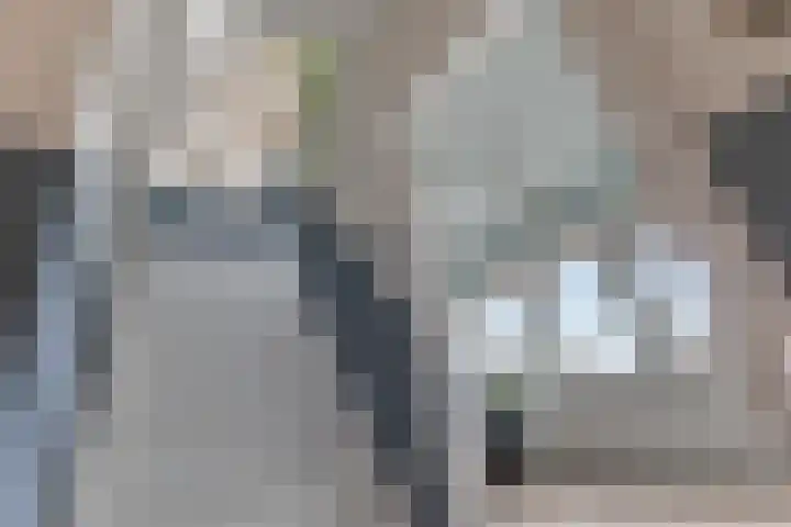Gratamastraat 3 b Groningen thumbnail 30