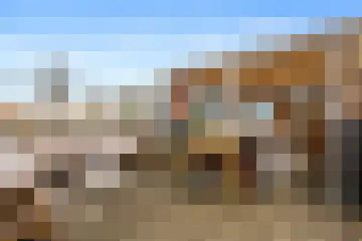 Gratamastraat 3 b Groningen thumbnail 38