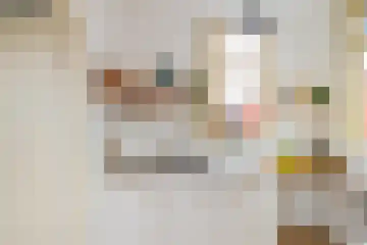 Gratamastraat 40 b Groningen thumbnail 22