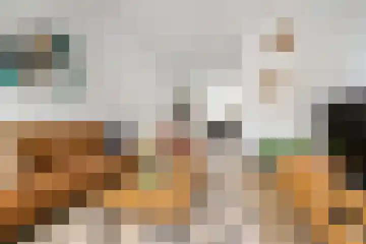 Gratamastraat 40 b Groningen thumbnail 4