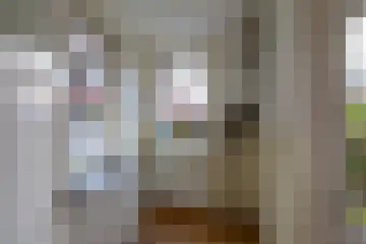 Gratamastraat 40 Groningen thumbnail 11