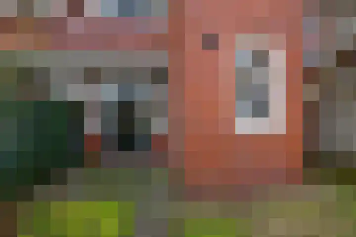 Gratamastraat 40 Groningen thumbnail 14