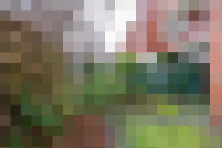 Gratamastraat 40 Groningen thumbnail 15