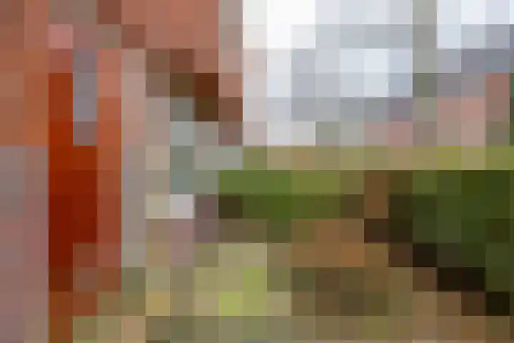 Gratamastraat 40 Groningen thumbnail 6