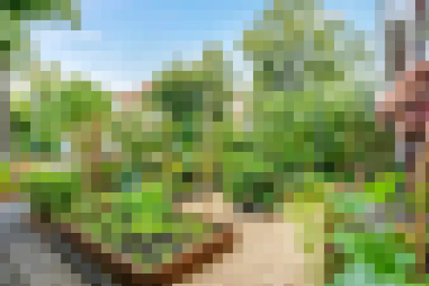 Gratamastraat 45 Groningen thumbnail 10