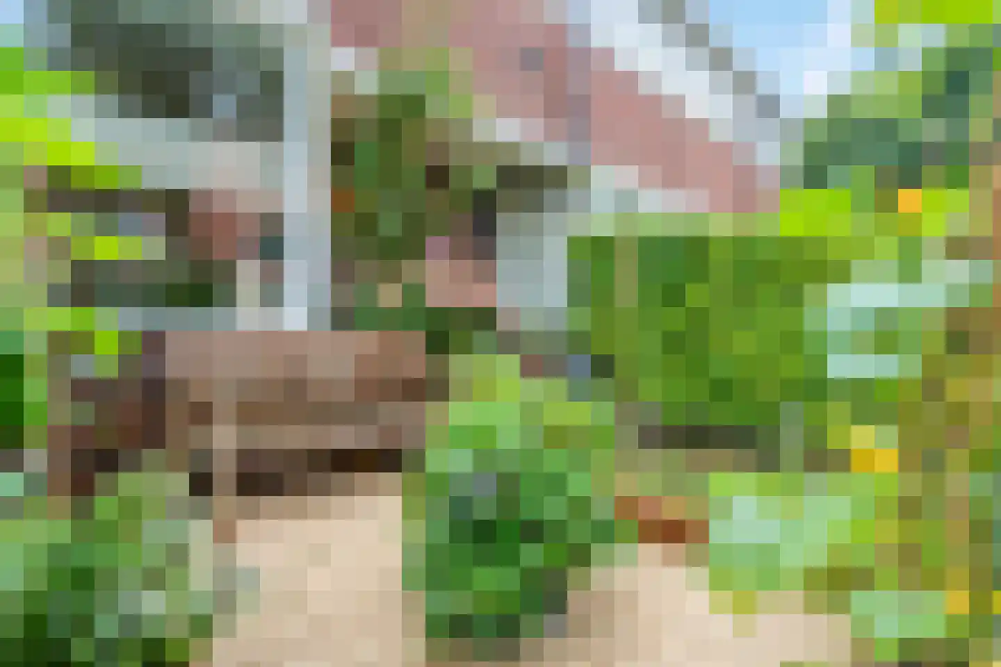 Gratamastraat 45 Groningen thumbnail 11
