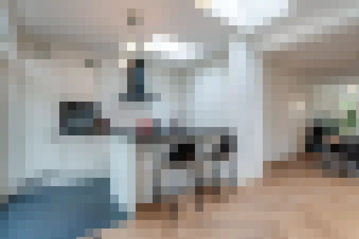 Gratamastraat 45 Groningen thumbnail 26