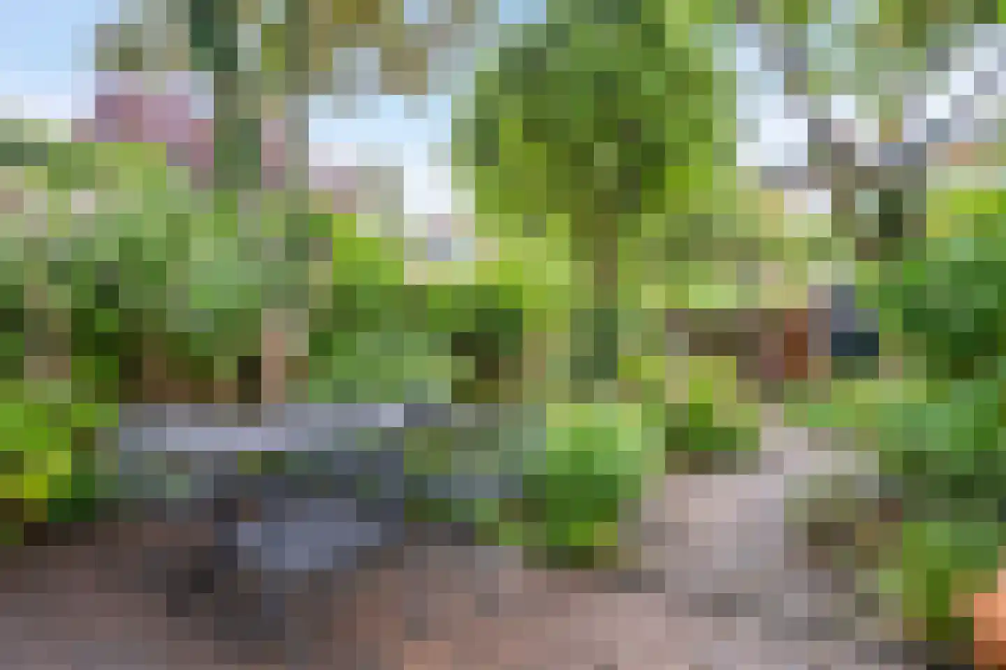 Gratamastraat 45 Groningen thumbnail 4