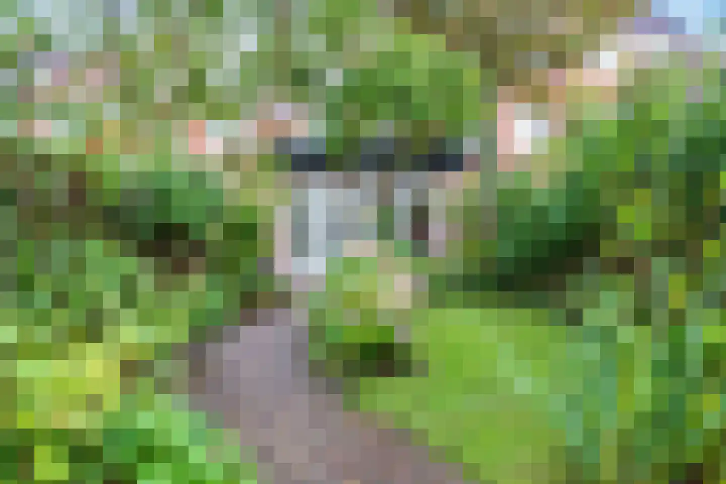 Gratamastraat 45 Groningen thumbnail 45